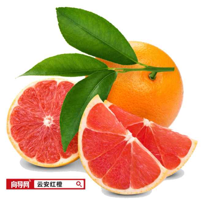 重庆云安红橙果园现摘现发全国包邮