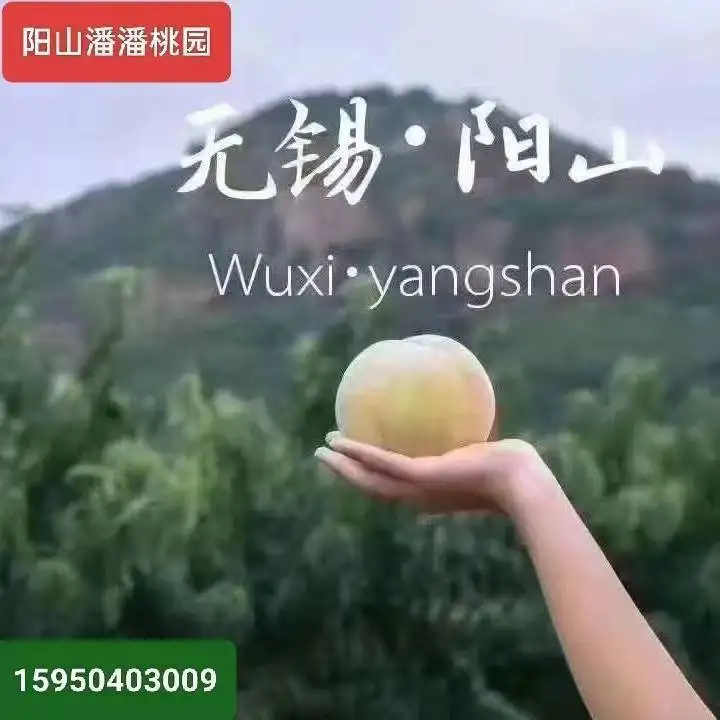 Ҫ����ɽˮ����🍑