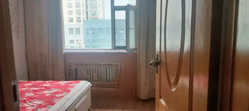 ƽ��������һ��ӱ���������,��ͨסլ,����,��װ��