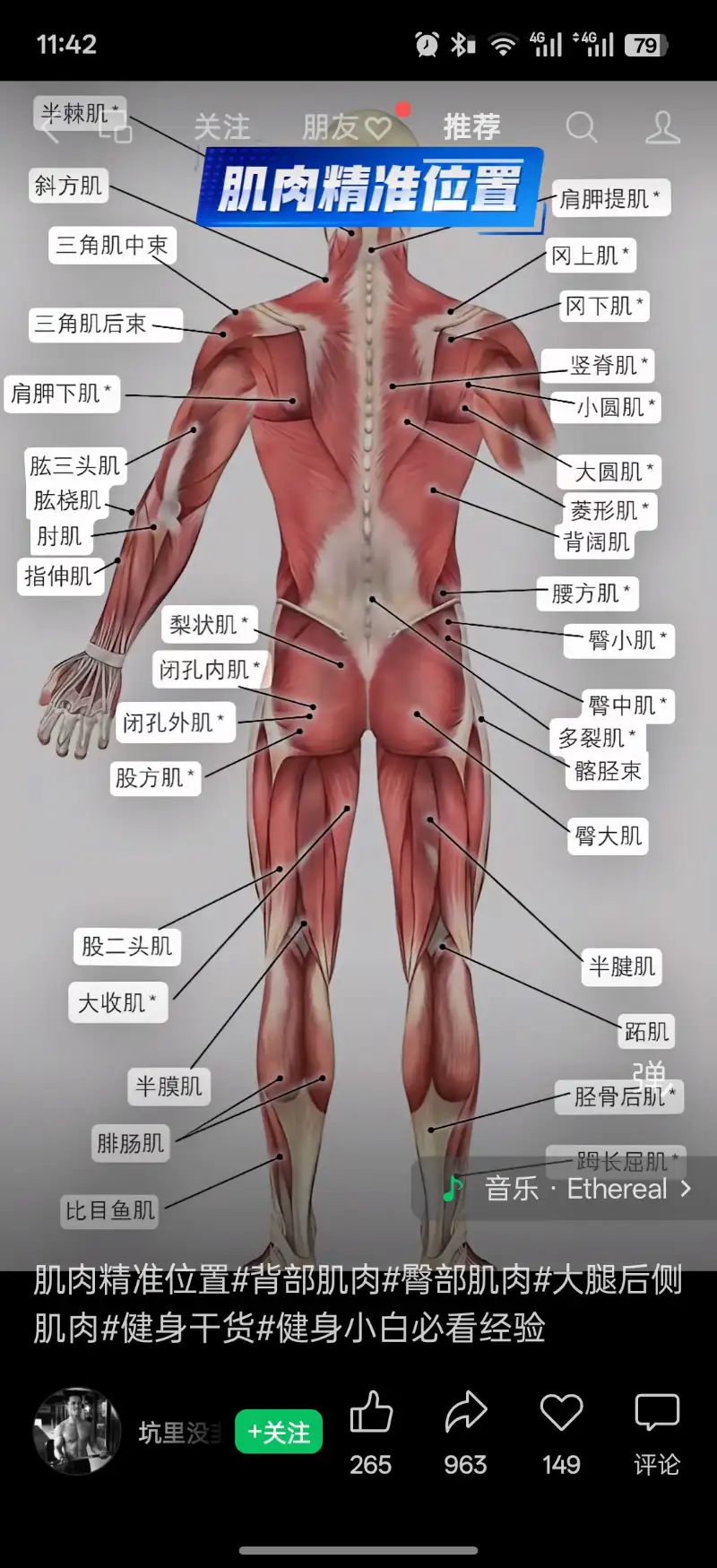 Բ�磬�ձ����������������Ȳ���